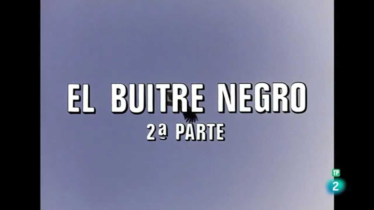 The Black Vulture II