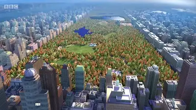 Central Park, New York