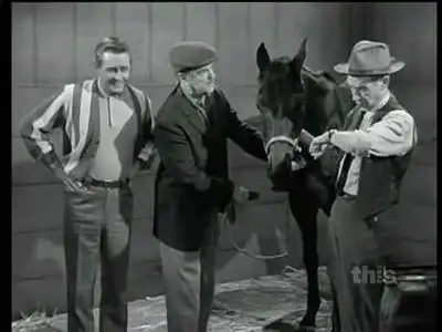 Ed the Horse Doctor