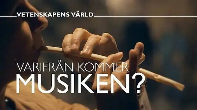 Varifrån kommer musiken?