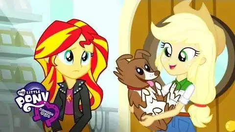 Pet Project