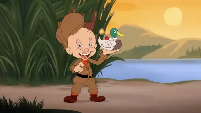 Decoy