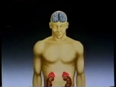 The Transpanted Brain