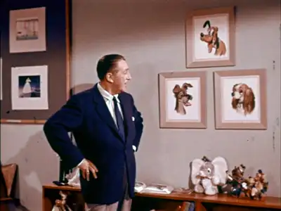 A Story of Dogs