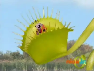 Save the Ladybug!