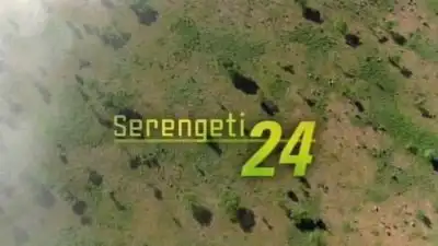 Serengeti 24
