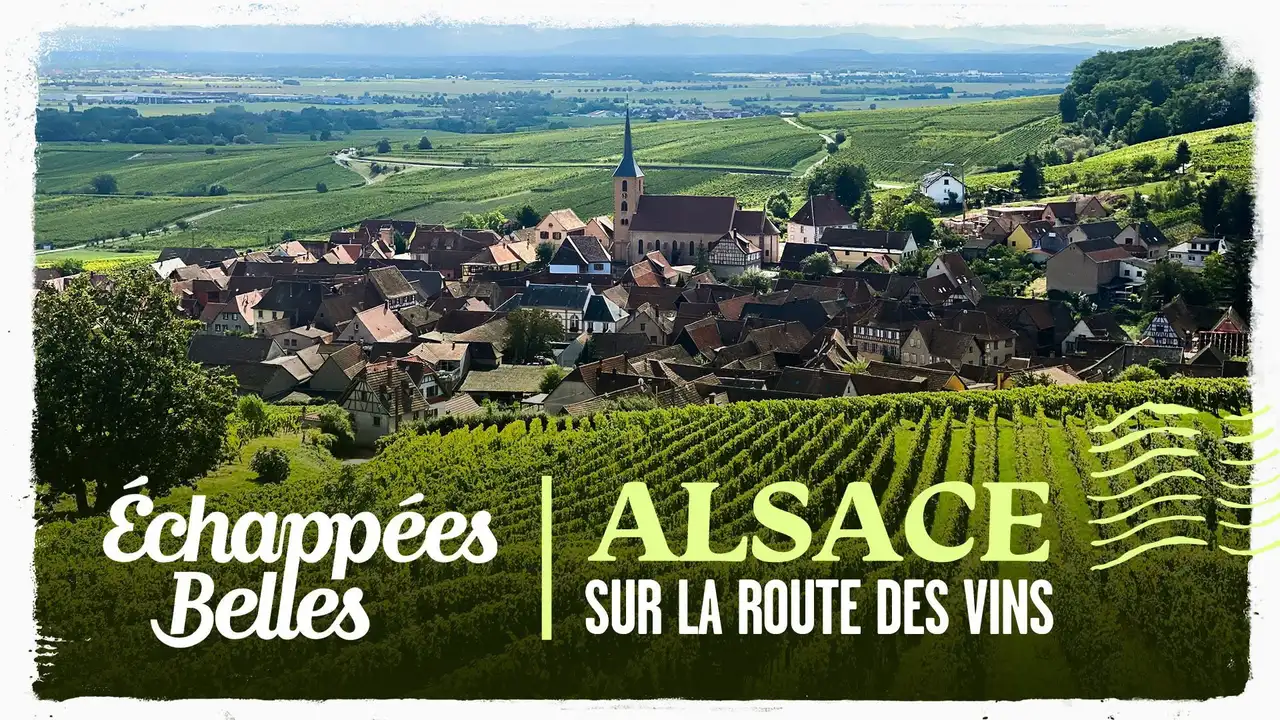 Alsace, sur la route des vins