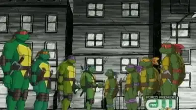 Turtles Forever