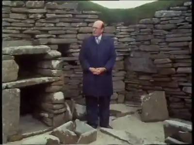 Who Built Stonehenge?