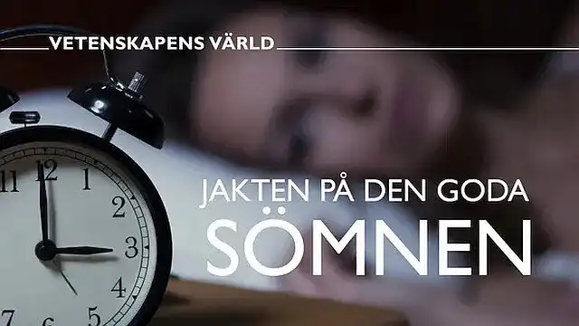 Jakten på den goda sömnen