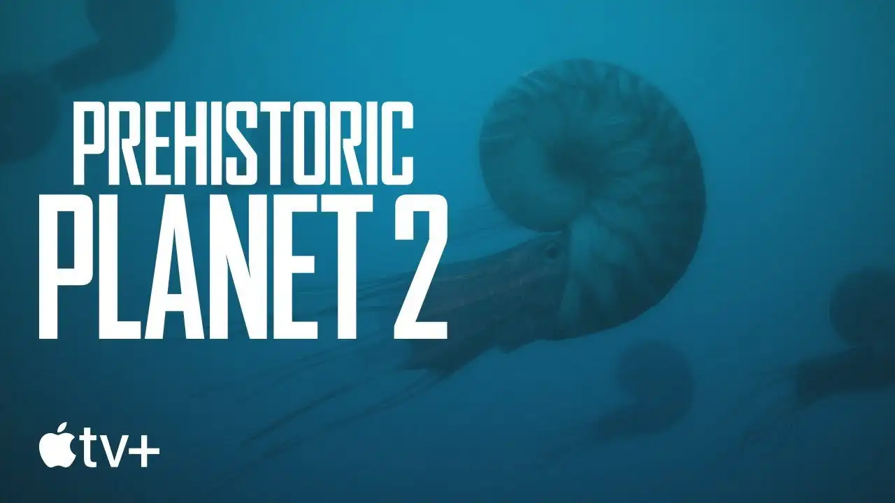 Uncovered: What Do We Really Know About Ammonites?