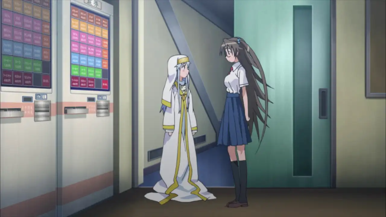 Counter Stop (Identity Unknown)