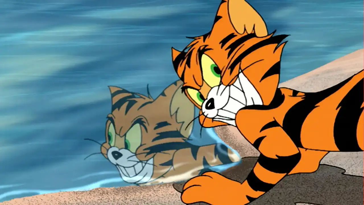 Tiger Cat