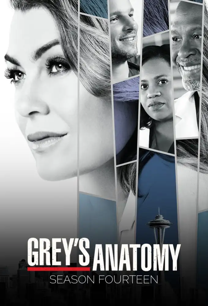 Season 14