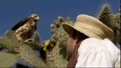 Episode 24