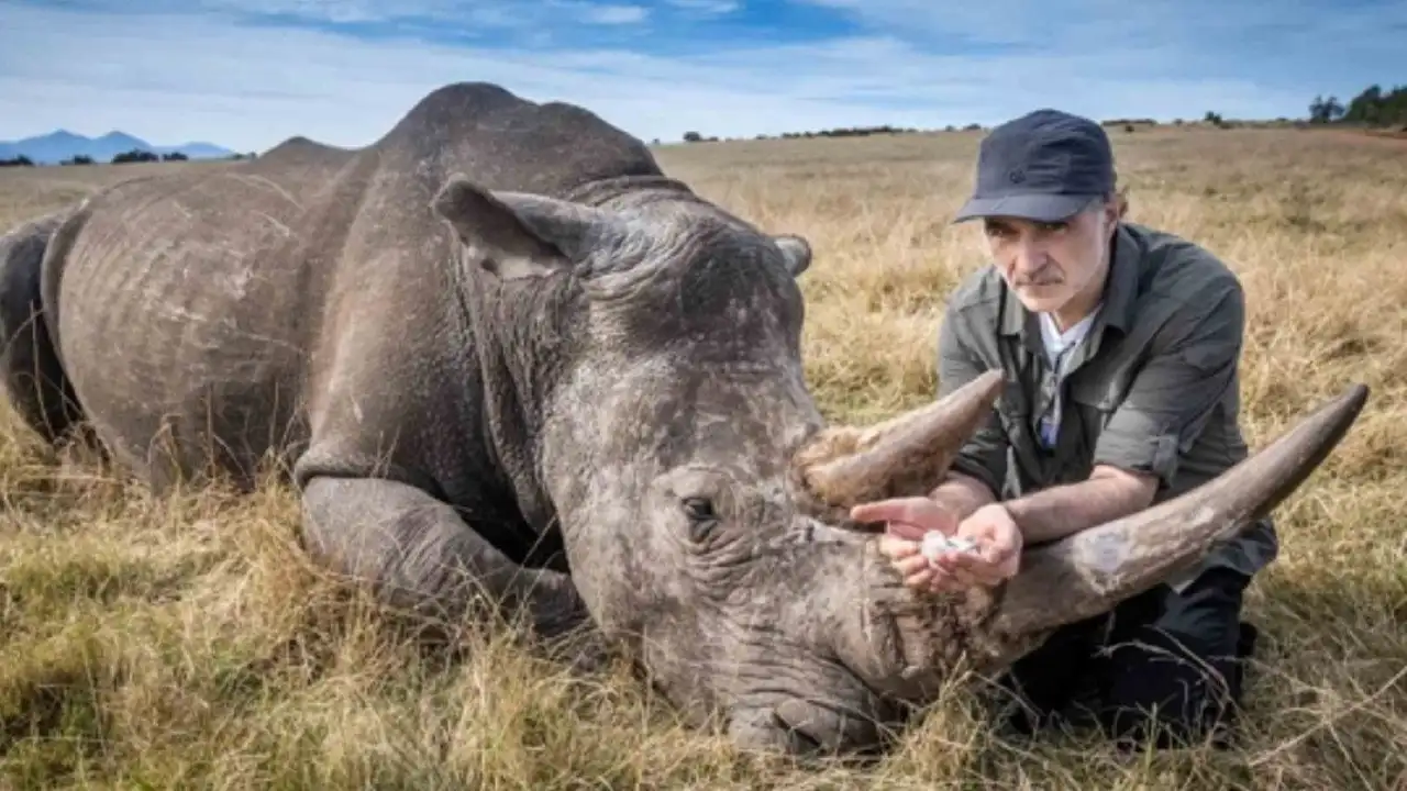 Safari Special