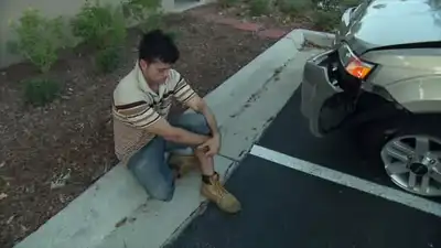 Domestic Disputes