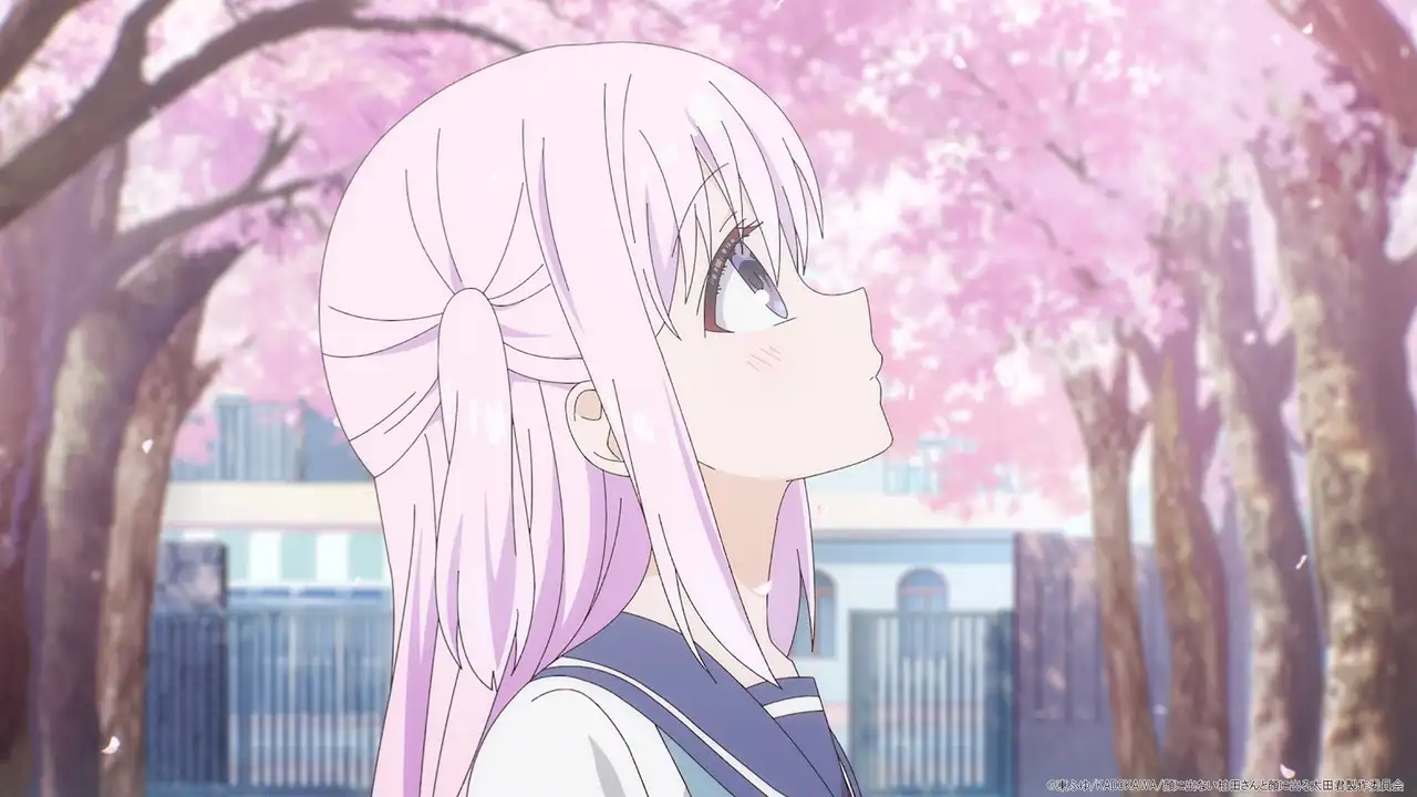 Kashiwada-san and Oota-kun and Lies