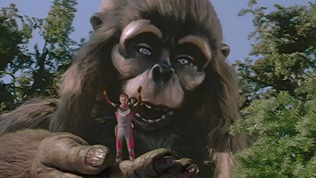 Simian Forest