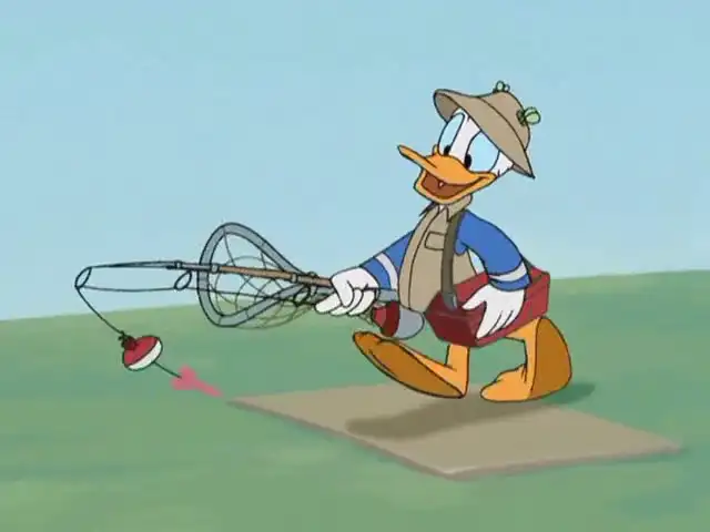 Whitewater Donald
