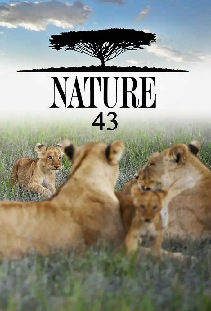 Season 43