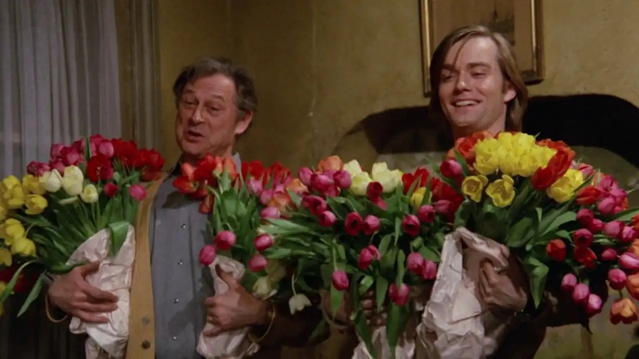 Be my tulip