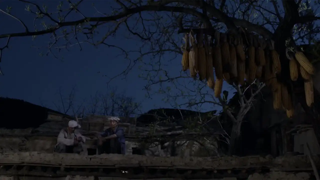 Episode 7