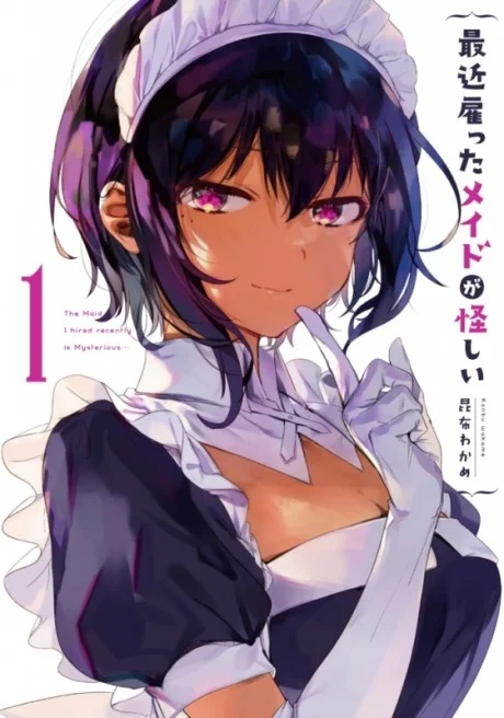 The Maid I Hired Recently is Mysterious