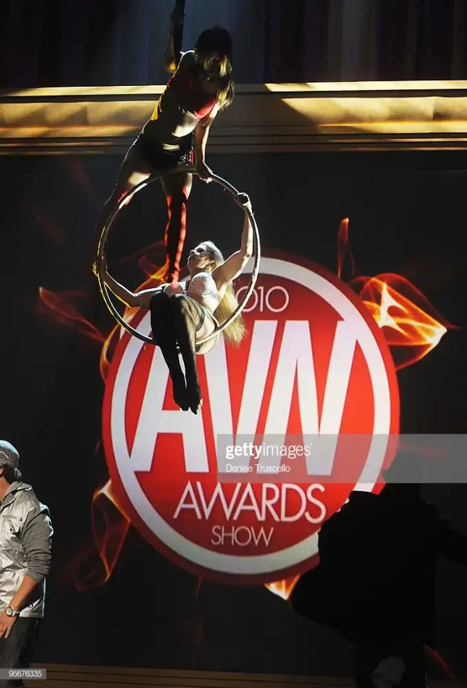 1st AVN Awards