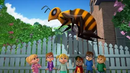 Queen Bee