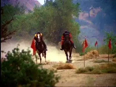 The Horse Race