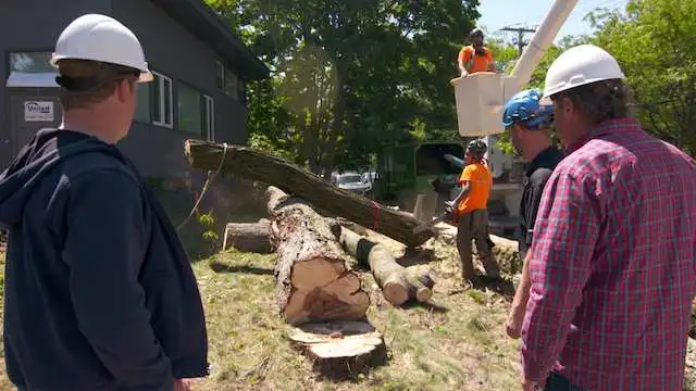 Brookline Mid-Century Modern House: Next-Generation Demolition