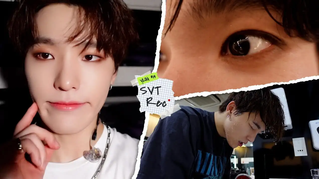 [SVT Record] 돌아온 겸Log : 퇴근 후 뒹굴뒹굴 | 디노의 혼자서도 잘해요 | 전지적 디노 시점 #14