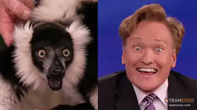In France They Call the Show a "Conan with Cheese."