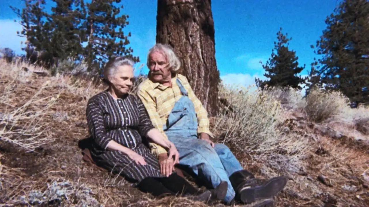 The Empty Nest