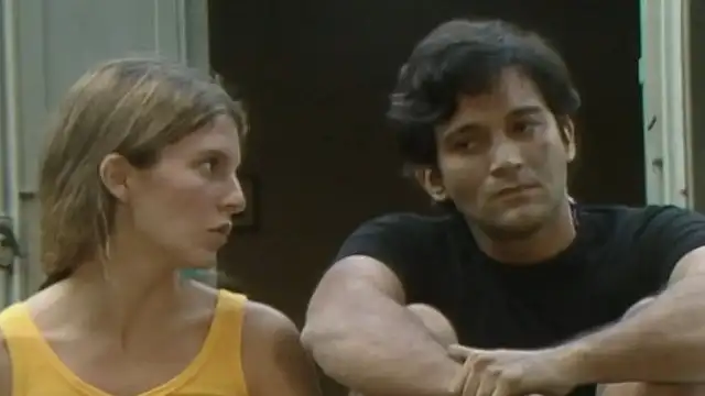 1977: The Organization - Part 1