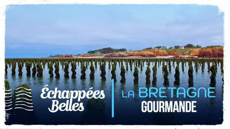 La Bretagne gourmande
