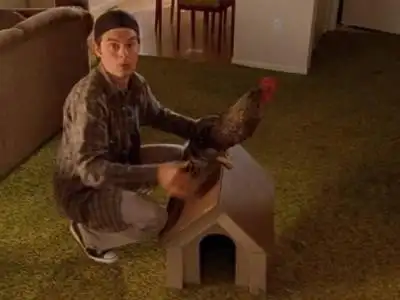 Doc Small