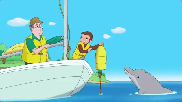 Dolphin with the Yellow Hat