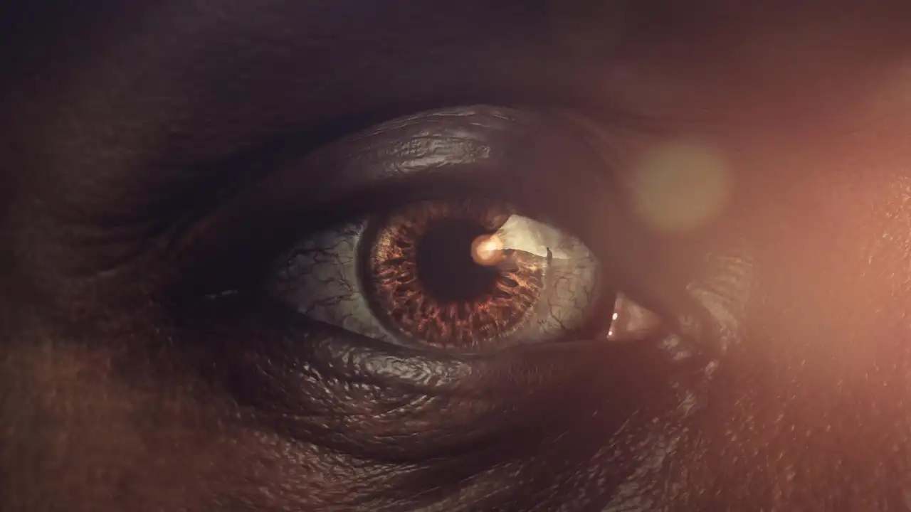 Human: Origins