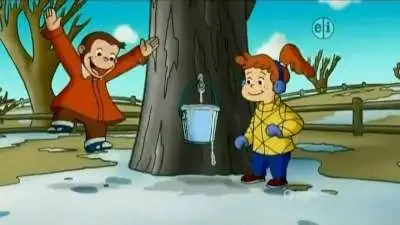 Maple Monkey Madness