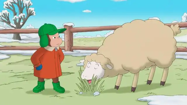 Sleepy Sheep