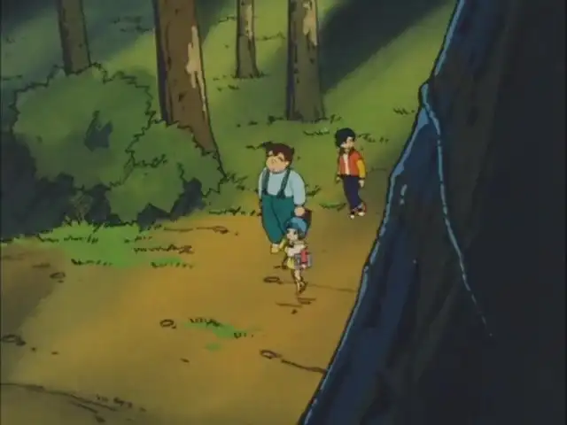 The forest where time sleeps