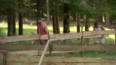 Episode 5