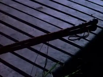 Bayou