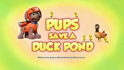 Pups Save a Duck Pond
