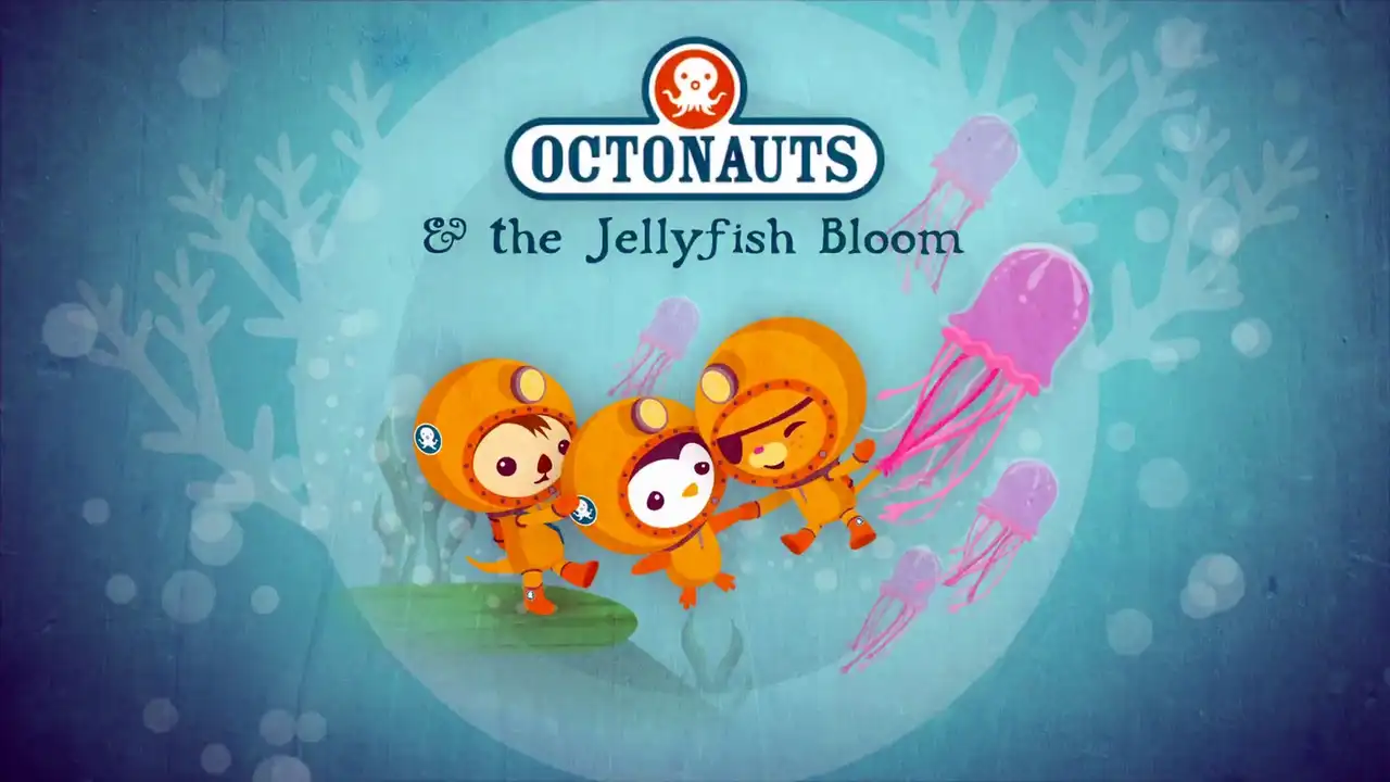 The Jellyfish Bloom
