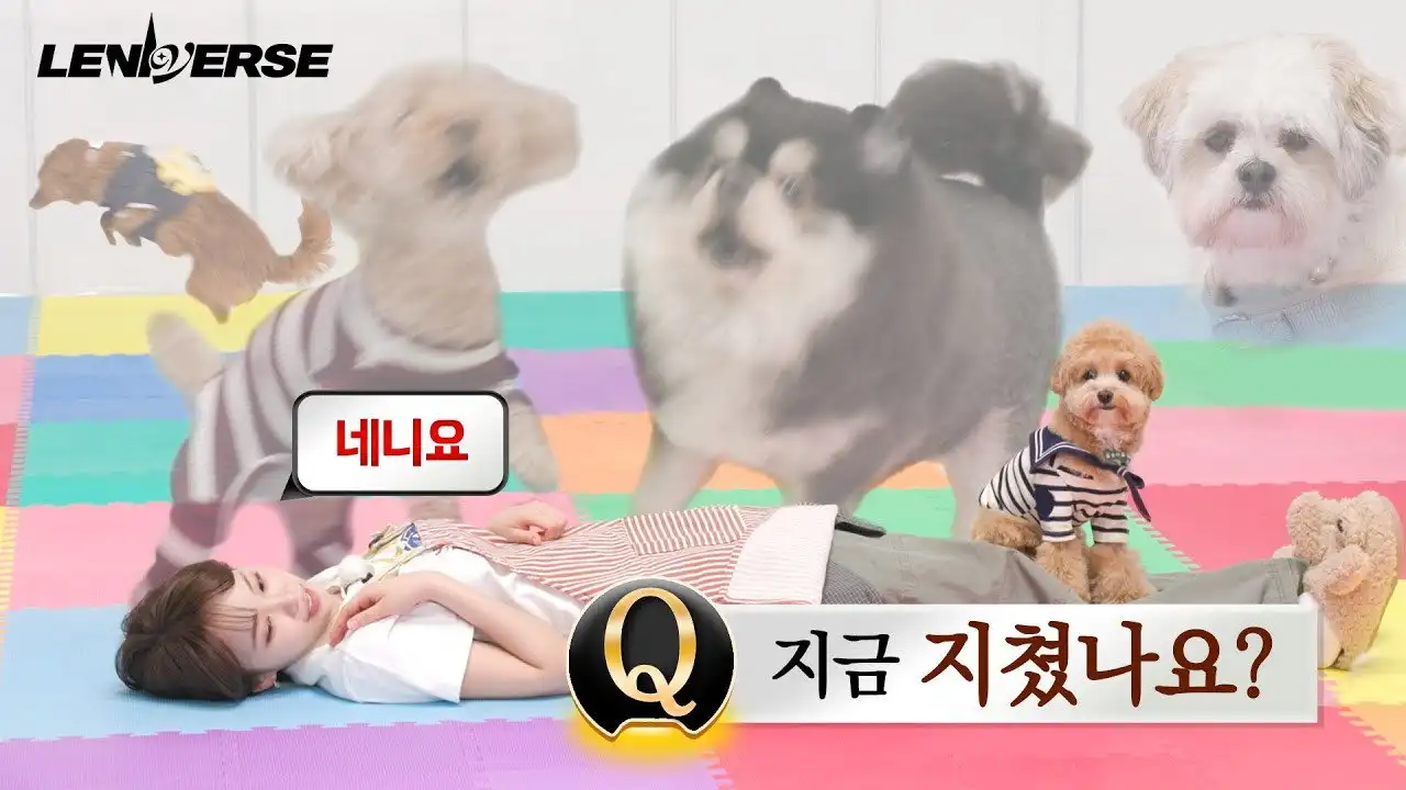 EP.60 Doggy Pet Sitter: Are you tired now? Yes, yes Part 2