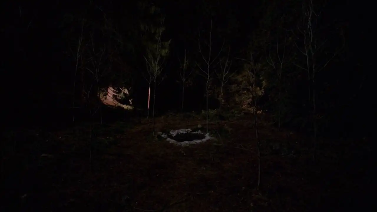 The Path to the Black Lodge