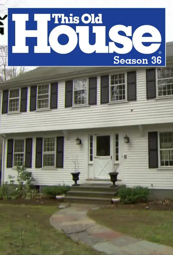 Season 36